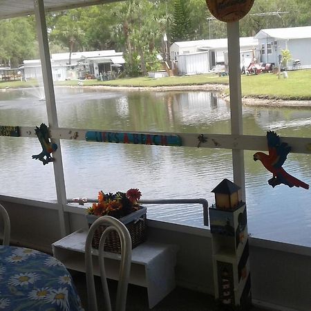 Oak Springs Rv Resort Port Richey Kültér fotó